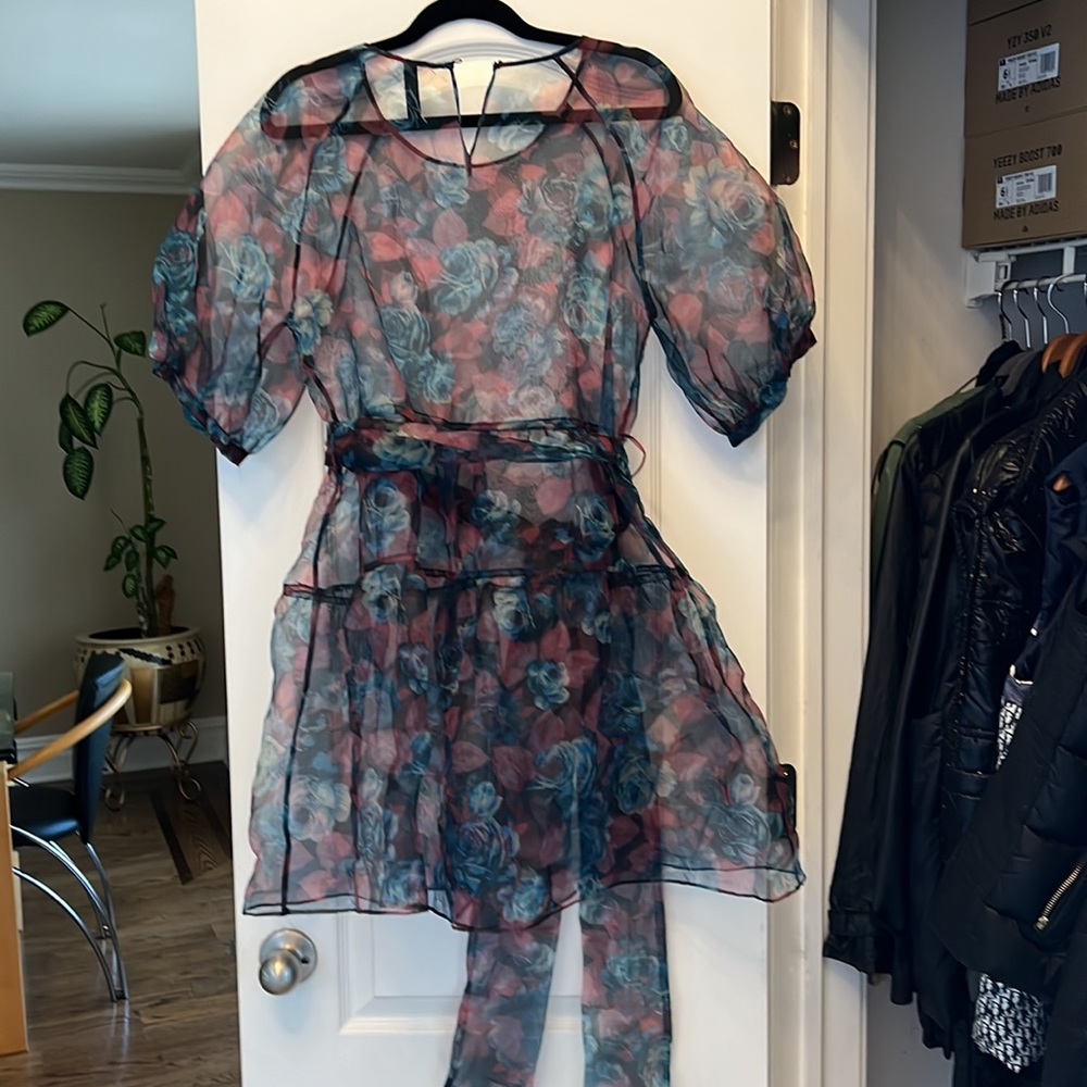 ZARA FLIRAL SHEER DRESS W/BELT - Picture 7 of 10